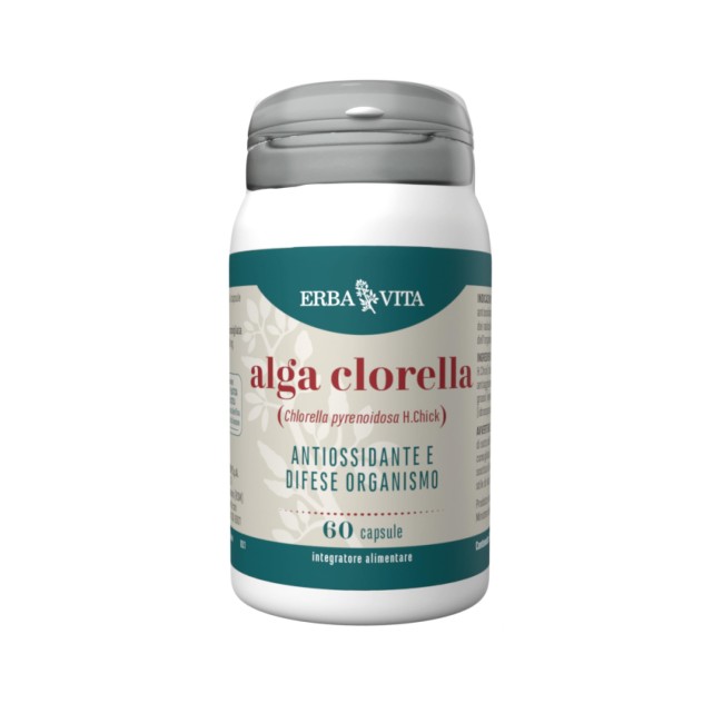 Erba Vita Alga Clorella Erba Vita Alga Clorella