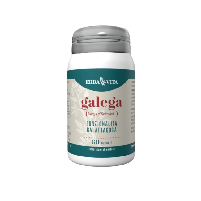 Erba Vita Galega Erba Vita Galega