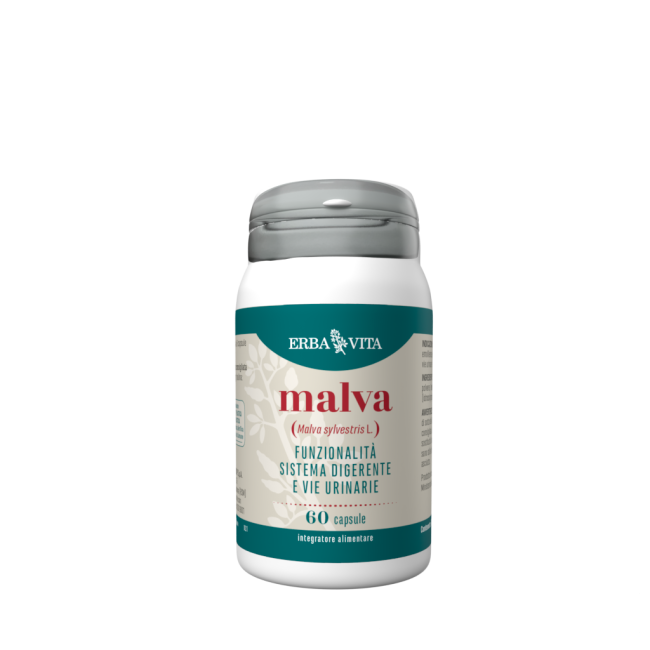 Erba Vita Malva Erba Vita Malva