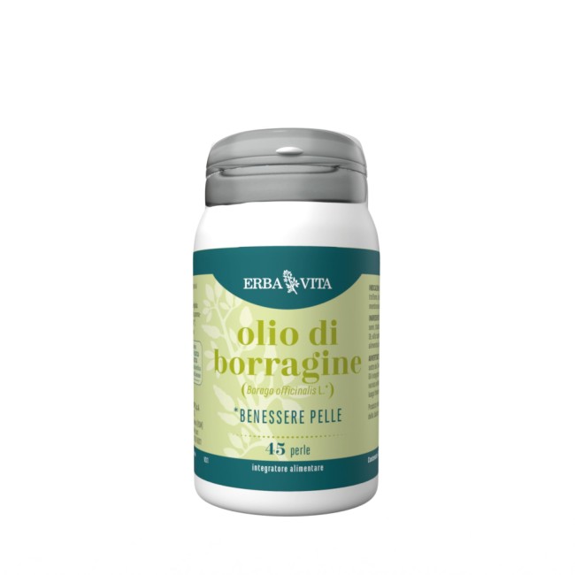 6 Pezzi Erba vita Borragine