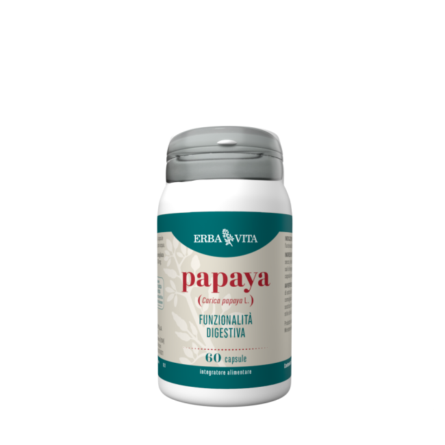 Erba vita papaya Erba vita papaya