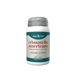 Erba vita crisantello americano integratore 60 capsule