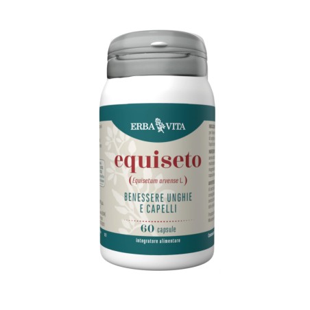 Erba vita Equiseto