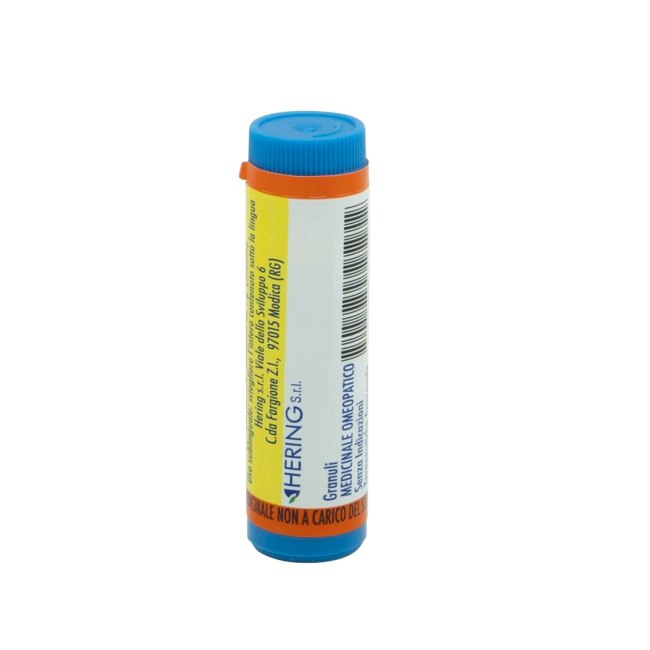Arnica Montana 1000ch Globuli
