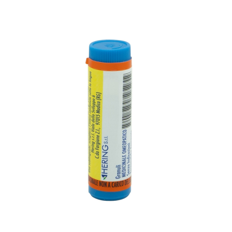 Arnica Montana 1000ch Globuli