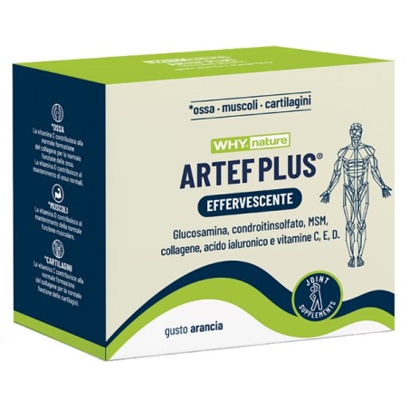 Artef Plus 24 Bustine