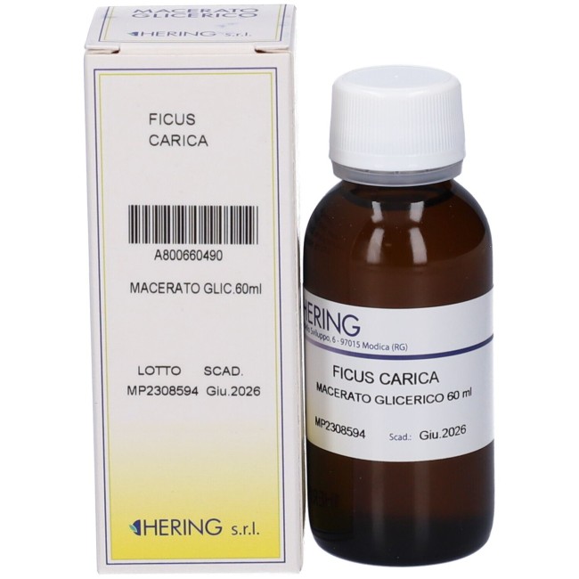 Ficus carica gemme macerato glicerinato