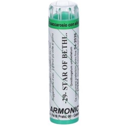 Armonic 29 star of bethlemme