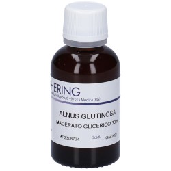 Hering Alnus glutinosa