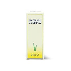 Sequoia gigantea macerato glicerinato