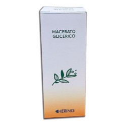 Hering Juglans Regia Gemme Macerato Glicerico