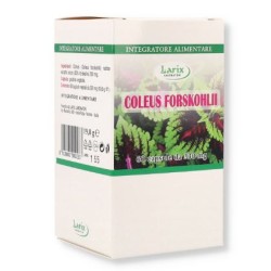 Larix Laboratori Coleus Forskholii