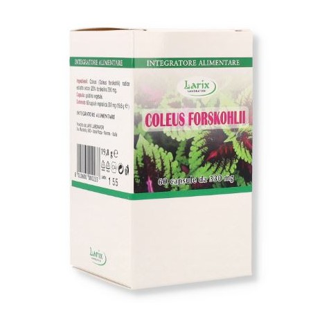 Larix Laboratori Coleus Forskholii