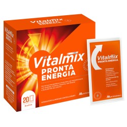 Vitalmix Pronta Energia