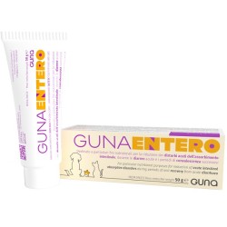 Gunaentero