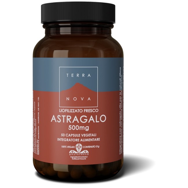 Terranova Astragalo