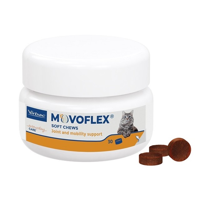 Movoflex Gatto