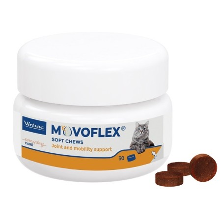 Movoflex Gatto