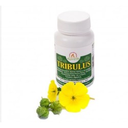 Ayurera Tribulus 60 Compresse