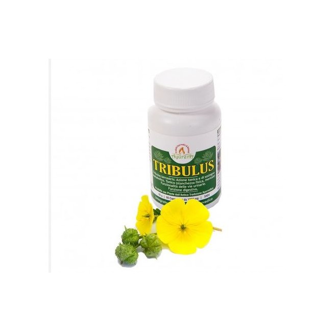 Ayurera Tribulus 60 Compresse Ayurera Tribulus 60 Compresse