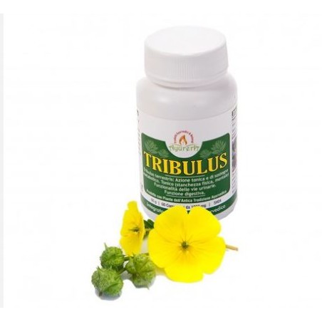 Ayurera Tribulus 60 Compresse Ayurera Tribulus 60 Compresse