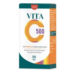 Erba Vita Vita C 500