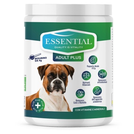 Essential cane adult plus
