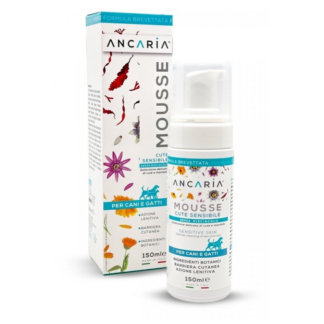 Ancaria mousse Ancaria mousse