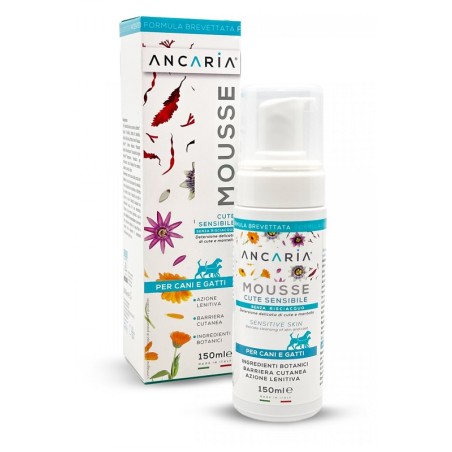 Ancaria mousse