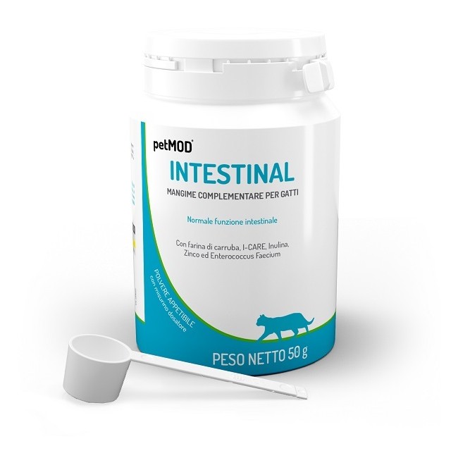 Petmod intestinal gatto