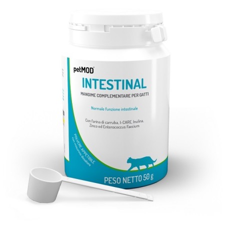 Petmod intestinal gatto