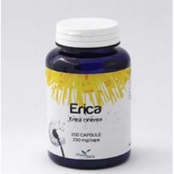 Erica 60 Capsule