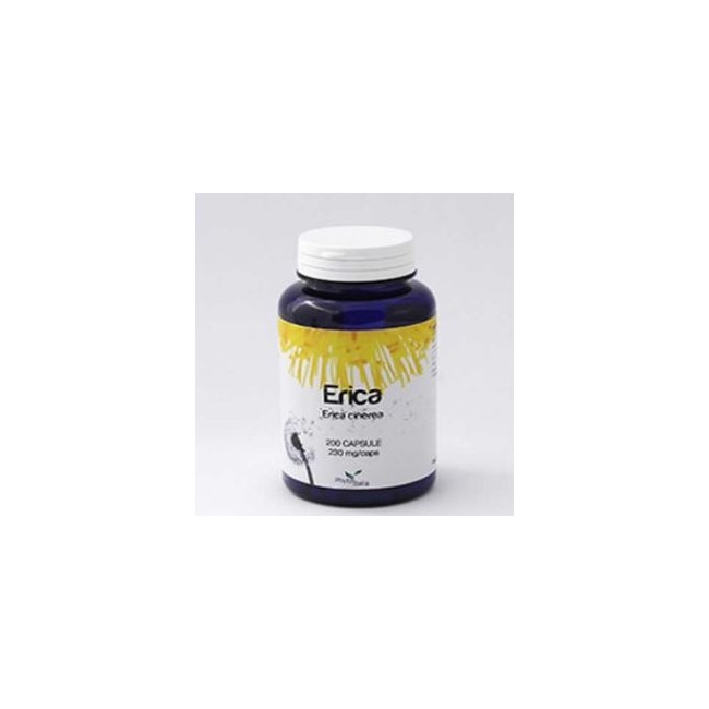 Erica 60 Capsule