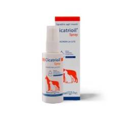 Cicatrioil Spray