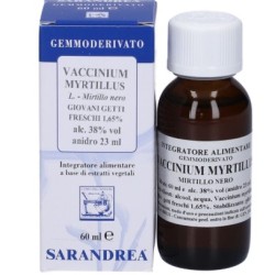 Sarandrea Vaccinium Myrtillus