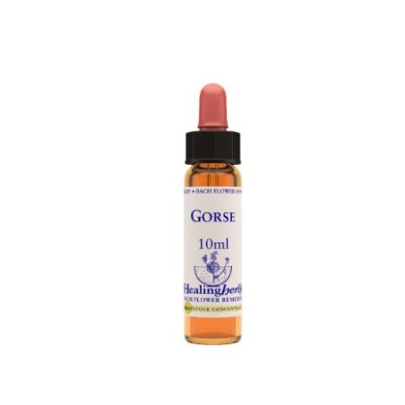 Natur Gorse Essenza