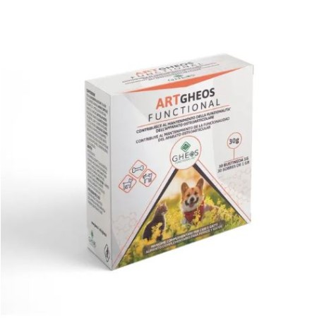 Art Gheos Functional