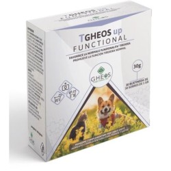 Tgheos up functional