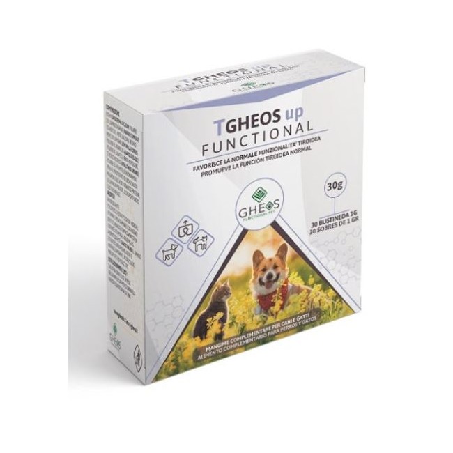 Tgheos up functional