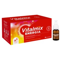 Vitalmix energia