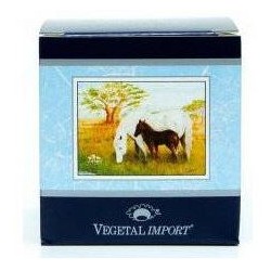 Vegetal Progress Equilat Crema