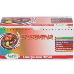 Enermina