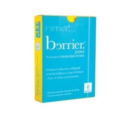 Odelfe Berrier Junior Classic