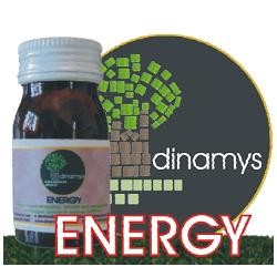 Dinamys Cor Gocce Energy 350 Tavolette