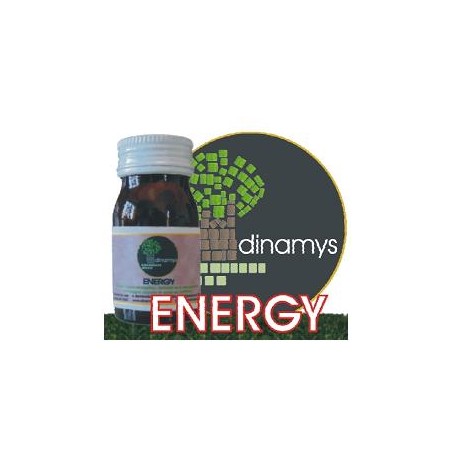 Dinamys Energy integratore 80 Tavolette