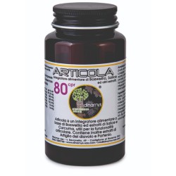Articola 80 Tavolette funzionalità articolare e antinfiammatorio