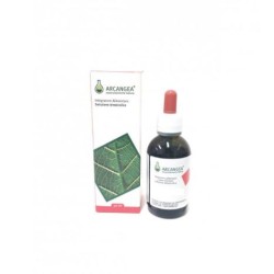 Arcangea Uncaria Soluzione Idroalcolica
