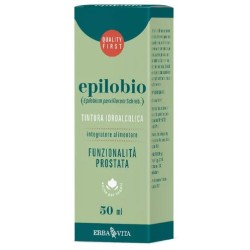 Erba Vita Italia Epilobio Pianta S