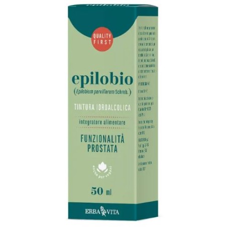 Erba Vita Italia Epilobio Pianta S