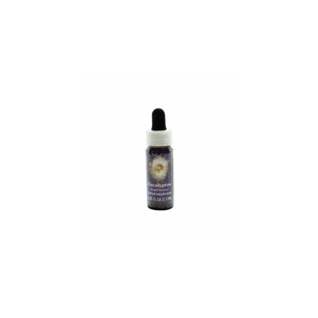 Natur Eucalypstus Essenza singola Natur Eucalypstus Essenza singola